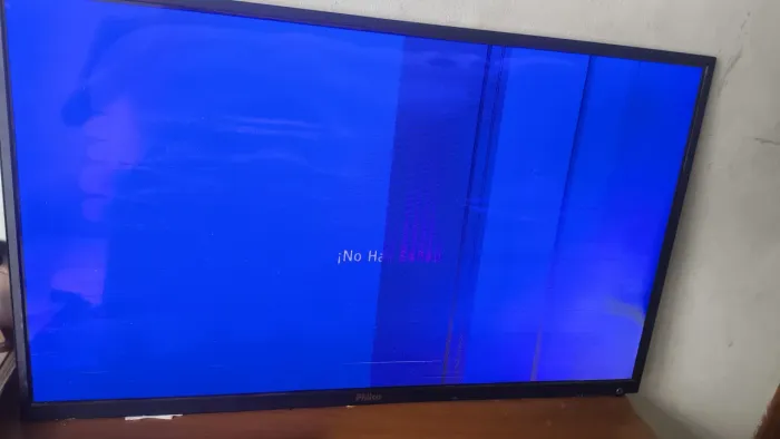Televisão grande