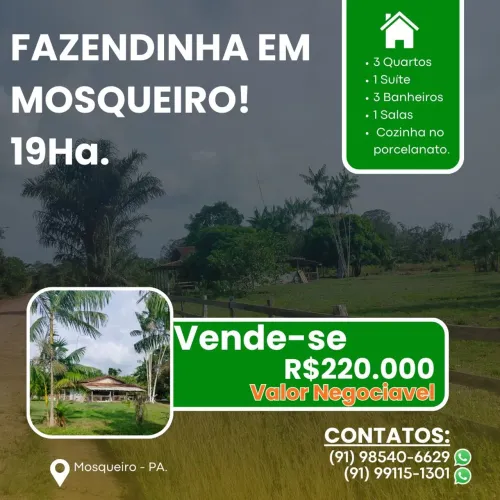 Fazendinha em Mosqueiro.