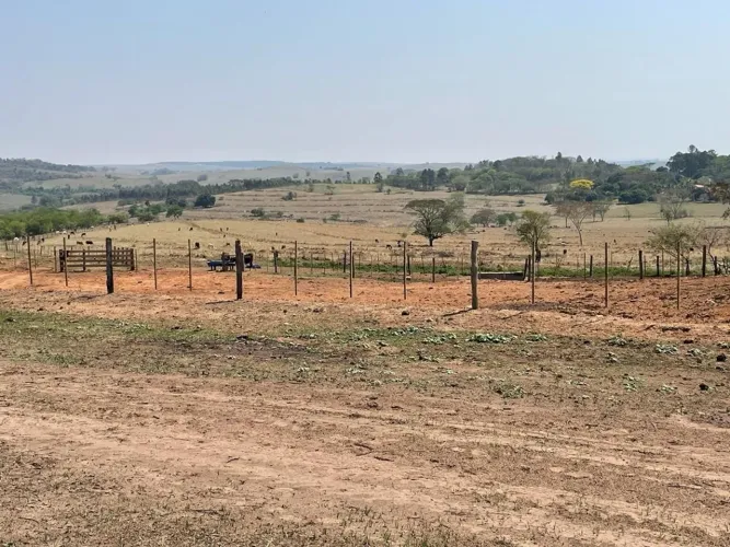 Fazenda 276 Alqueires, Rica em Água com 3 Represas, Acesso Asfaltado, Formada na Pecuária,