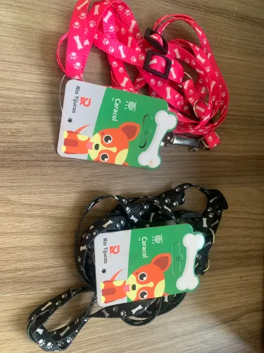 Guia e coleira para cachorro pequeno