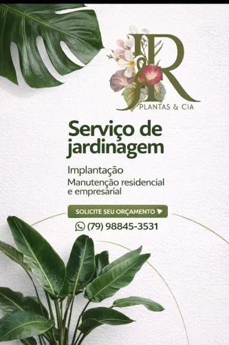 Jardinagem manutenção 