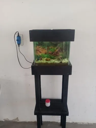 Aquário completo 250 reais