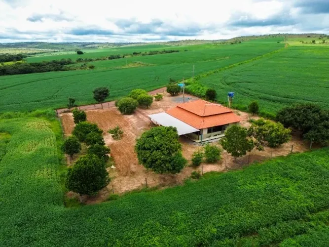 1.027 hectares em Flores de Goiás. Dupla Aptidão