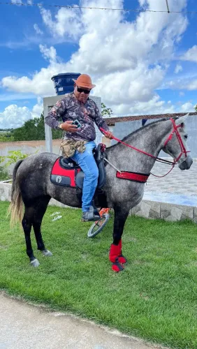 Cavalo Manga Larga