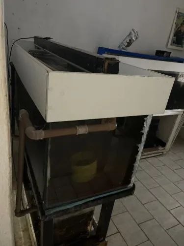 Aquario q esta parado