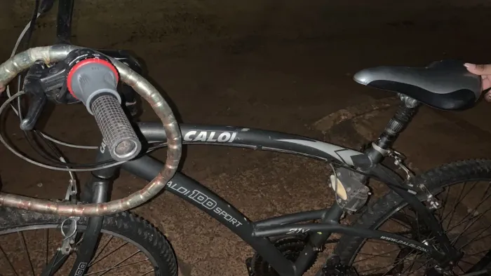 Bicleta