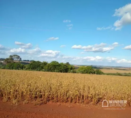Fazenda à venda, 66550 m² por R$ 2.200.000,00 - Assis Chateaubriand -pr - Assis Chateaubri