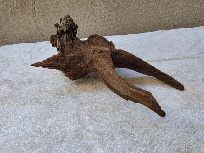 Tronco Natural para Aquario 35 cm Hardscape Aquapaisagismo