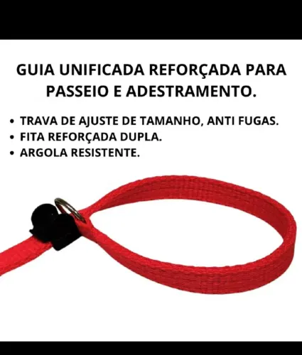 Guia unificada