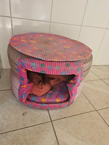 Casinha pet pneu