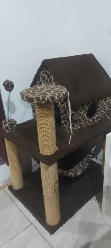 Casinha de gato