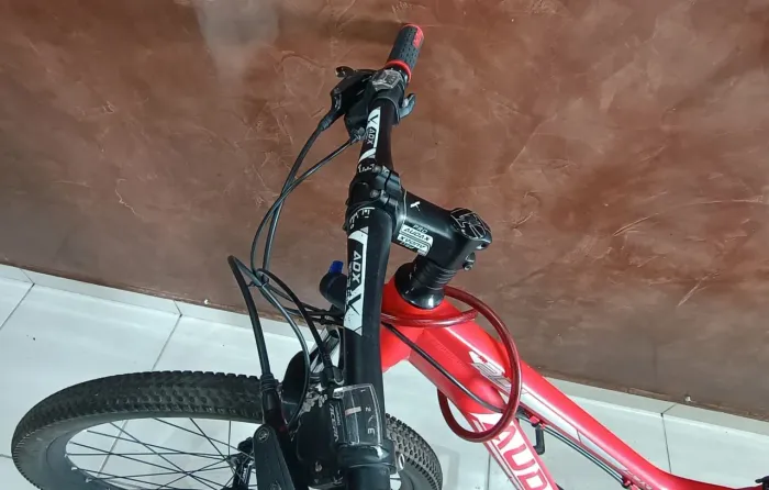 Bicicleta Audax