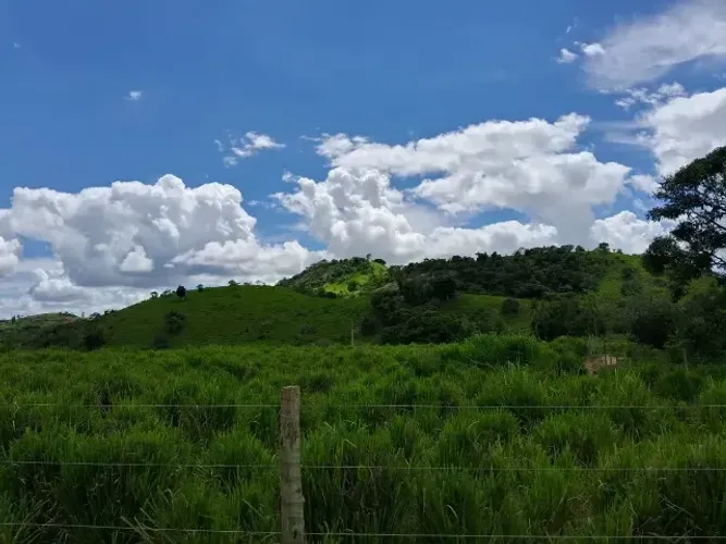 Fazenda a Venda em Riachão