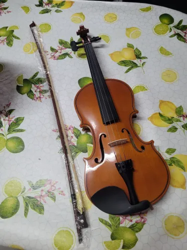 Violino Parrot 