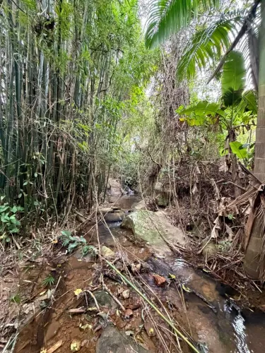 Terreno à venda com 707 m² com cachoeira a 600m do mar na Praia da Gamboa ( Com alvará )