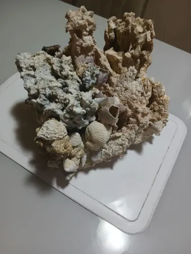 Rochas para aquários marinhos 