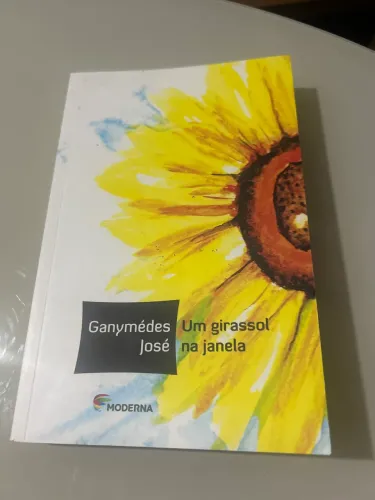 Um girassol na janela
