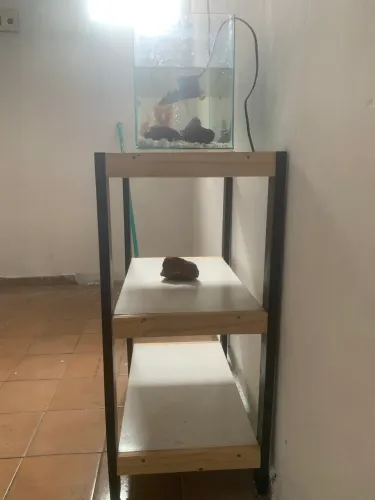 Aquário com tudo 