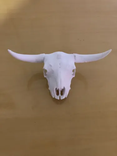 Cabeça de boi enfeite