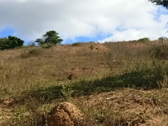 Vendo chácara. Só o terreno 6.000mil metros. 