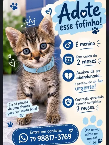SÓ FOFURAS