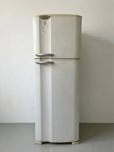 Geladeira Electrolux Fost Free 346L