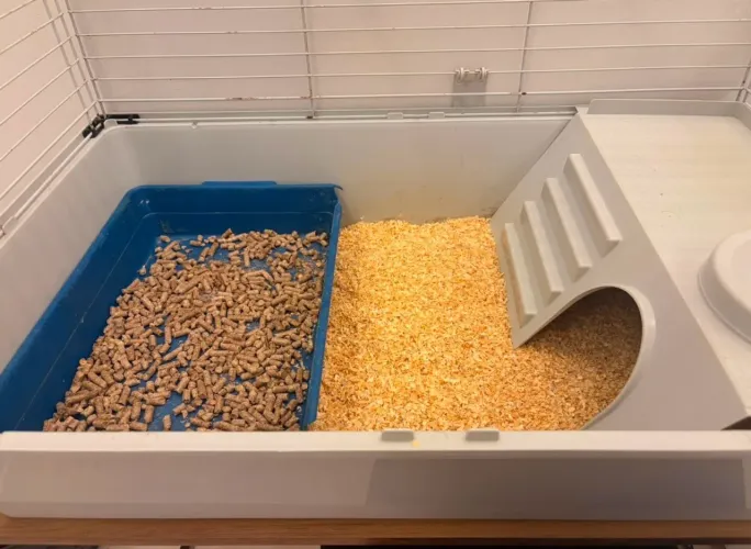 Gaiola pra porquinho da índia 
