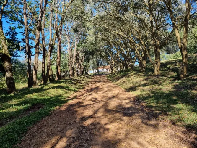 Fazenda 110 alqueires ou 266,20 Hectares - Dupla Aptidão - Região de Itatinga SP
