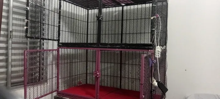 Gaiola pet shop