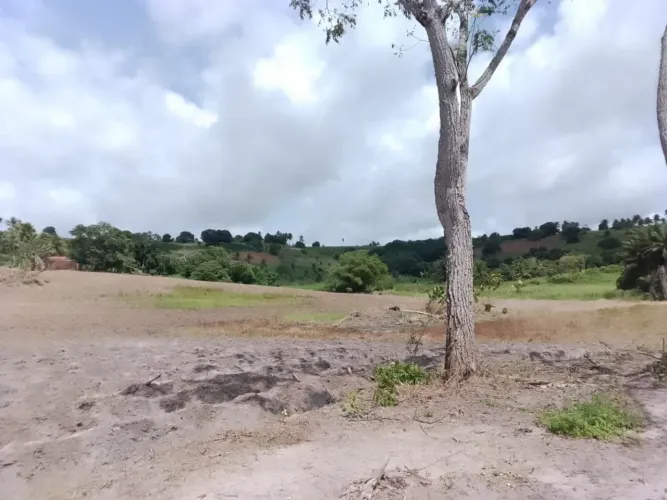 VENDE-SE UMA GRANJA, COM 4,8HA COM ENERGIA ELÉTRICA mas informações na descrição.