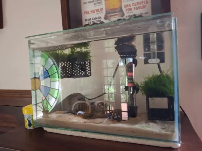 Aquario pequeno completo