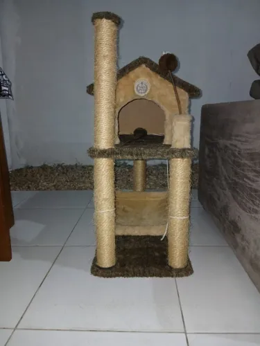 Casinha para gato