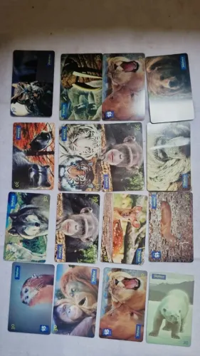 Lote Com 16 Cartões Telefônicos Antigos Telefônica - Série Animais Selvagens (Ano 2000)<br>