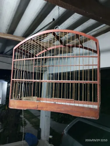 Gaiola de madeira para trinca ferro
