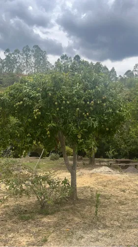 GRANDE OPORTUNIDADE SÍTIO Á VENDA SERRA