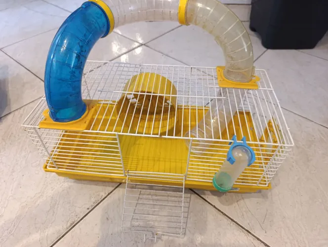 Gaiola hamster roedores