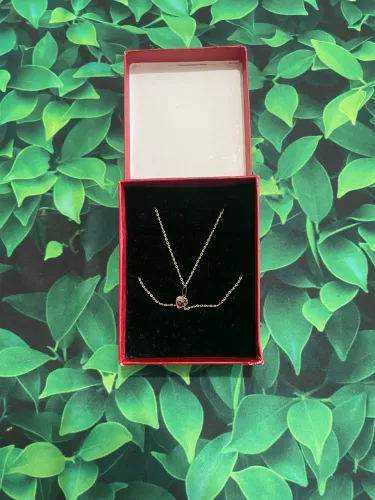 Gargantilha de Ouro 18k com Pingente