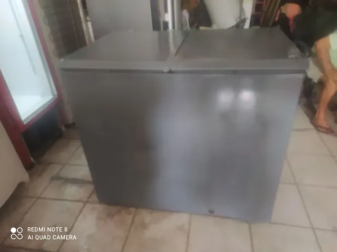 Freezer duas portas 310 litros entrega grátis
