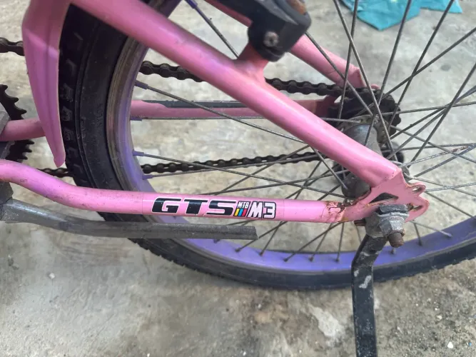 Bicicleta