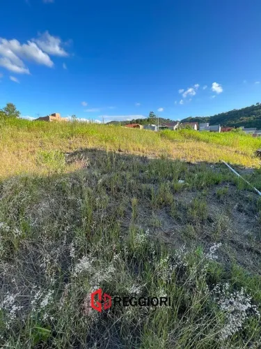 OPORTUNIDADE TERRENO 375M² PRIMAVERA PRES GETÚLIO