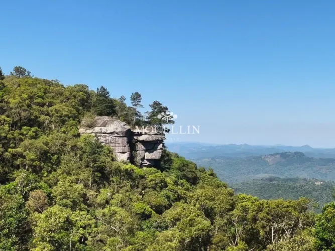 Terrenos de alto padrão à venda em São Luiz do Purunã/ Mocellin Imóveis