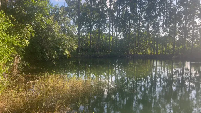 Terreno bonito com casa de alvenaria no Brasil Novo