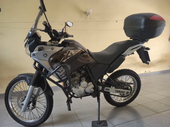 Teneré 250 2019