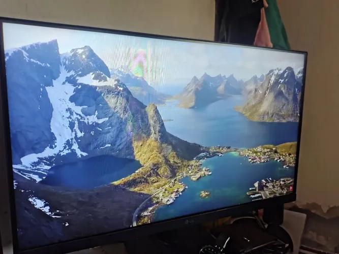 Monitor Gamer LG IPS FULLHD 100HZ