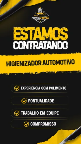 VAGA PARA HIGIENIZADOR (POLIDOR) AUTOMOTIVO