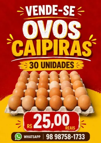 Vendo Leia o cartaz, não tenho férteis