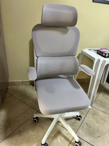 Cadeira Escritório Presidente Ergonômica Cinza com Apoio Lombar e Encosto
