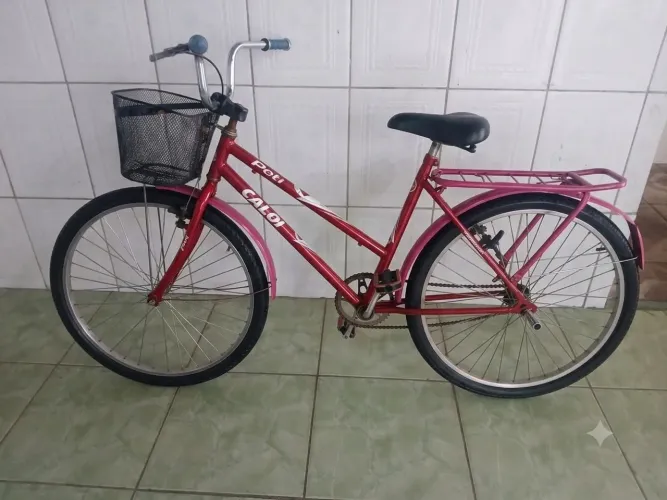 Bicicleta poti original (Aceito Cartão)