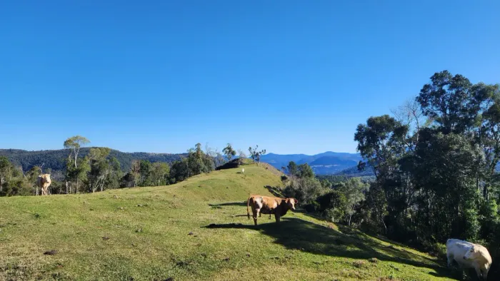 Sítio com linda vista entre Rio Rufino e Urubici