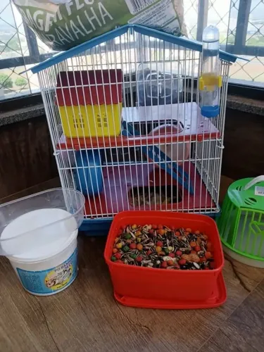 Vende-se hamster